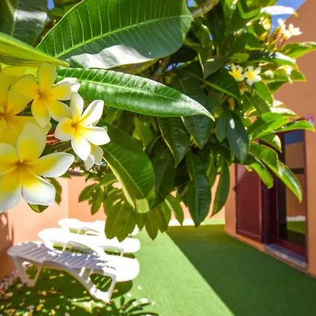 Fuerte Holiday Casa&terrazza With Pool Villa